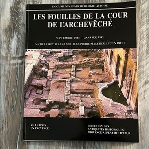 Les Fouilles de la Cour de l'Archevêché Book